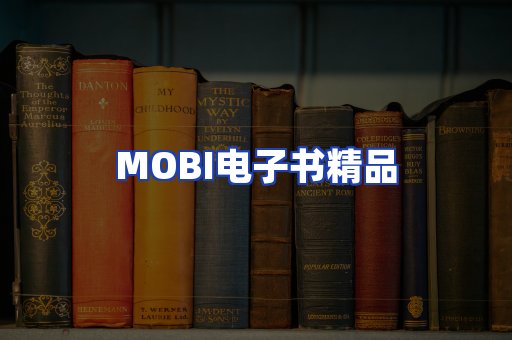 外文电子书产品